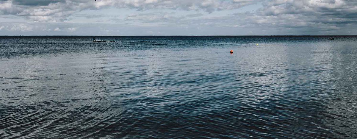 Anticimex tweet media