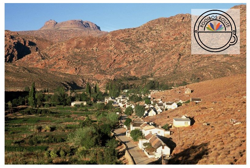 RooibosRoute's tweet photo. Are you on holiday in the #Cederberg? #Wupperthal is a must visit - experience how they farm with Rooibos Tea - it’s planting season in #RooibosCountry!
https://t.co/jkgBW4XZhk
📷credit: https://t.co/ddGZuKC3PW
#farmvisit #onroute  #cederberg #Rooibos #Agriculture #experience https://t.co/6a8uArC7QB