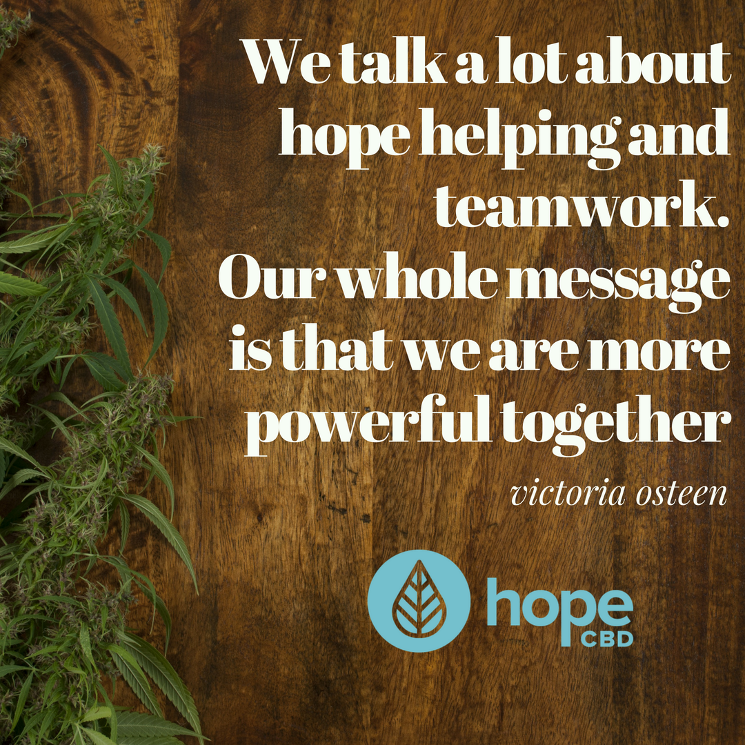hope_cbd's tweet photo. Working together at HopeCBD to continue bringing excellent customer service and assistance to our customers! #cbduk #cannibidiol #inspringquotes #hopeful #cannabiseducation #cbdfrance #cbdaustria #ukcbd #hemp #healthandwellness #naturalproduce #fullspectrum #co2extracted https://t.co/JbstseUD0E