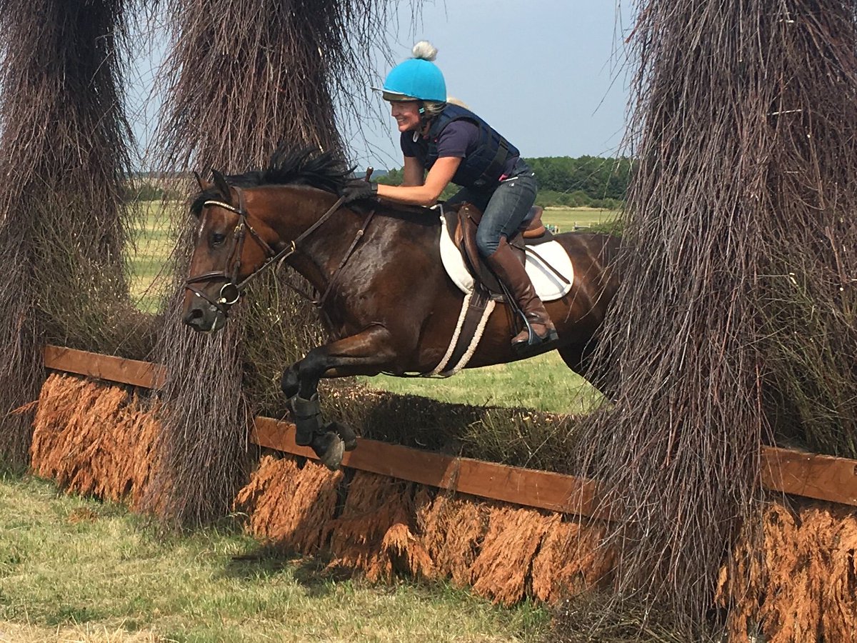 We are delighted to host <a href="/APeventing/">AP Eventing</a> Xc clinics at the Larkhill course on 13th August and 2nd September. All ability levels are welcome from 60cms (over our new track) to 100cm to train with Alex Peternell, a 4* PRO event rider. To book your slot visit: horse-events.co.uk/events/trainin…