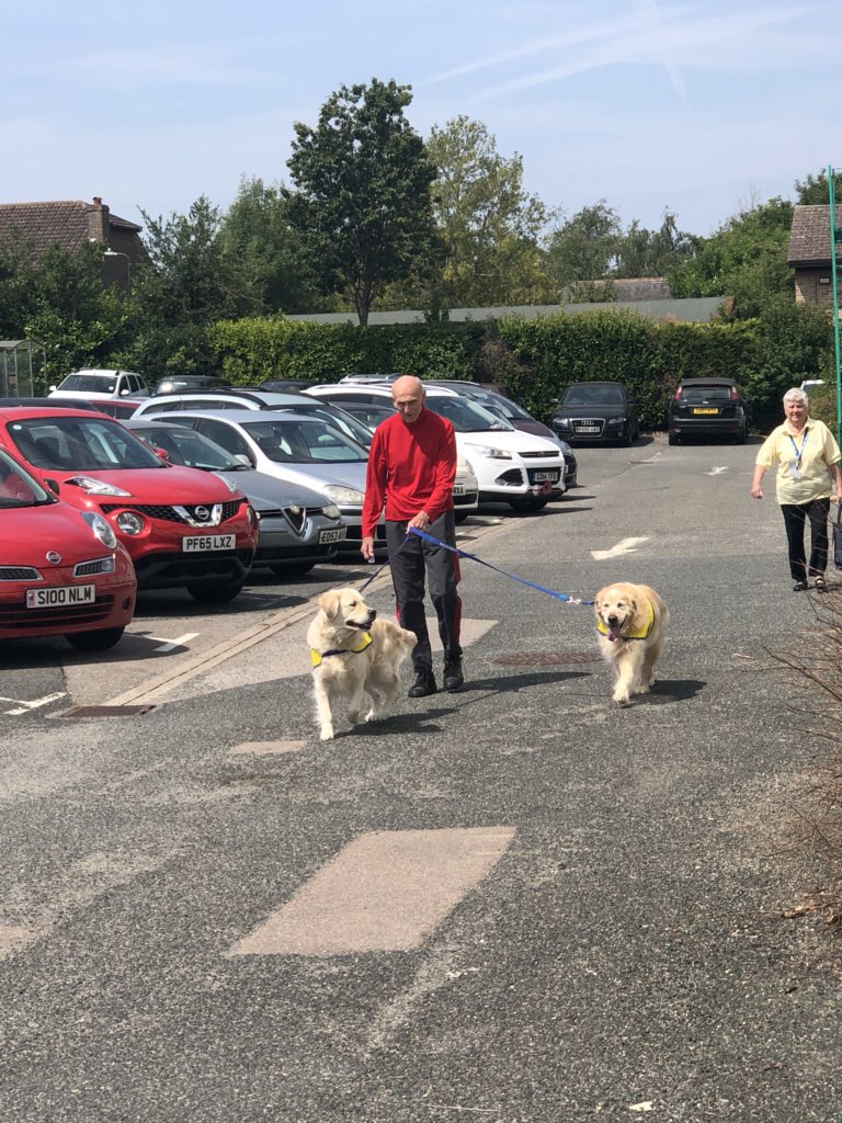 The stars of the show l, Rowan and Pipper have at arrived at Coxheath for our @SECAmbulance #Wellbeing Day #pettherapy #supportingourstaff #wellbeinghub