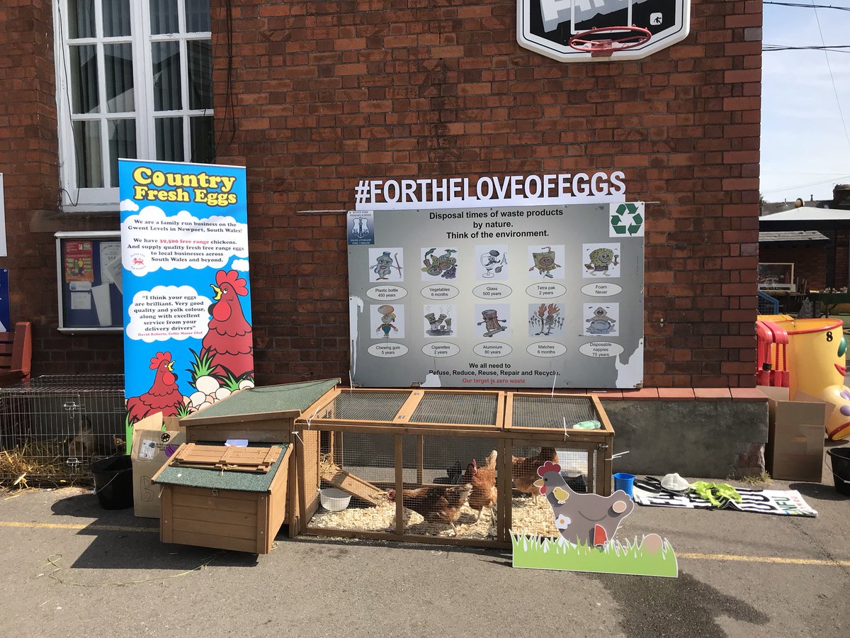countryfreshegg's tweet photo. Having a cracking time @roathparkprm #tellingthefarmingstory #WeAreWelshFarming #feedingthenation @NFUCymru @stellaowenphill @AbiReader @CowsOnTour @LoveFreeRange https://t.co/JEhQngms8f