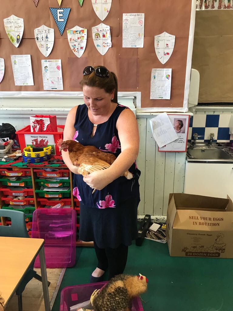 countryfreshegg's tweet photo. Having a cracking time @roathparkprm #tellingthefarmingstory #WeAreWelshFarming #feedingthenation @NFUCymru @stellaowenphill @AbiReader @CowsOnTour @LoveFreeRange https://t.co/JEhQngms8f