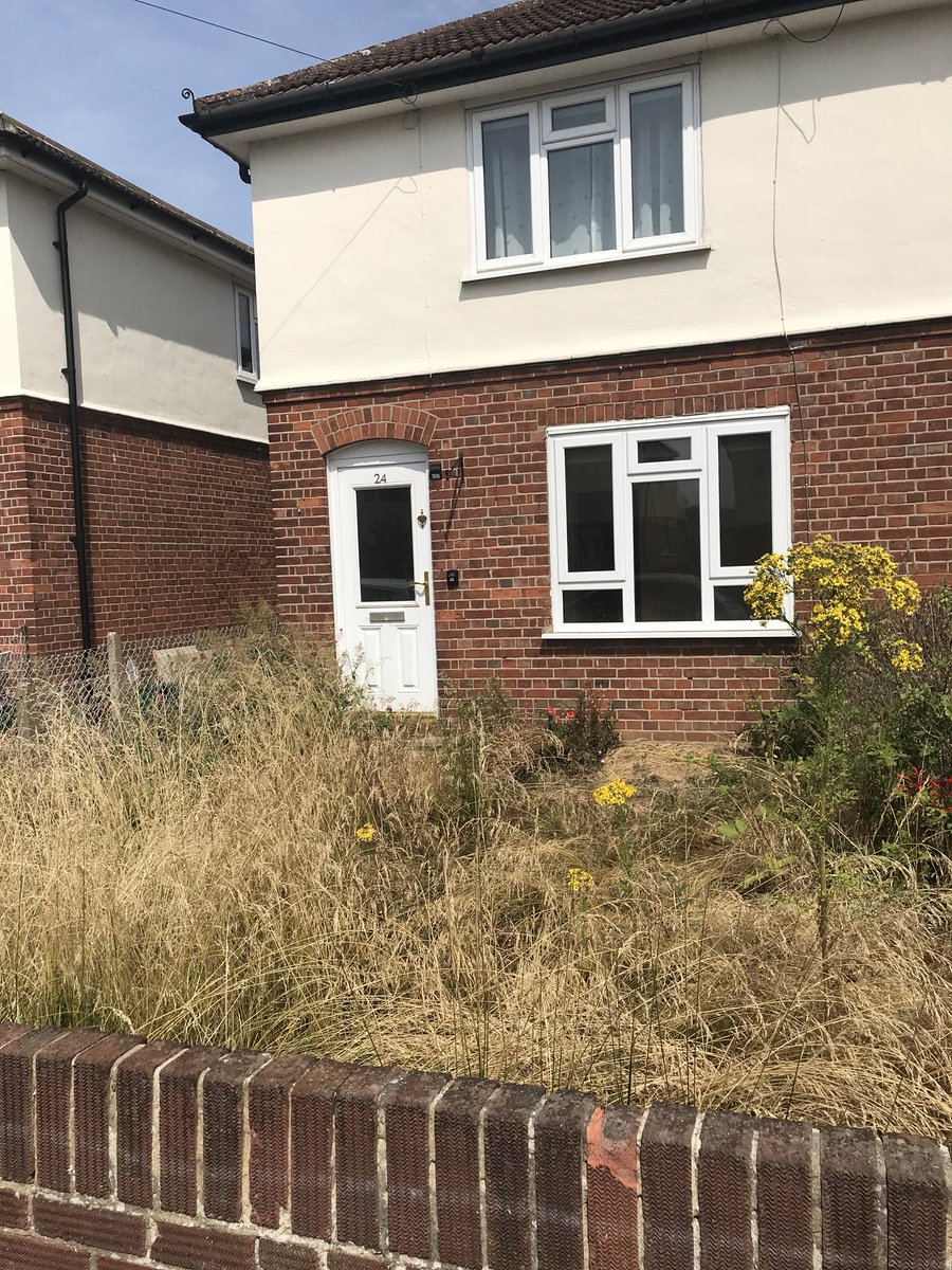 Luke Doonan tweet media