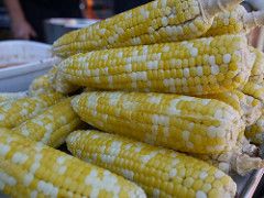 gardensedible's tweet photo. Growing corn at home? Did you know corn is called maize in most countries, this comes from the Spanish word 'maiz'. #EatYourGarden https://t.co/abBMpsnB6A
