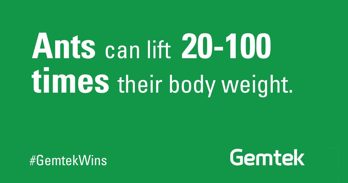 Ants can lift 20 to 100 times their weight, depending on the species. However, we’re not intimidated. We’ve been protecting customers from these pests for years. Contact us for strong, effective pest control service. 

fal.cn/ywT3