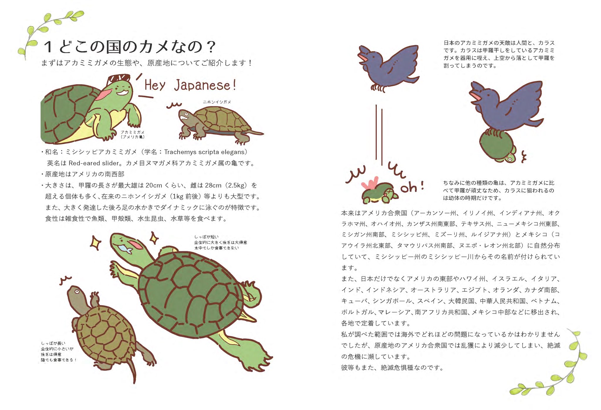 八重山みなみん こんばんは ガクタメの冊子 アカミミガメガメのいろいろハンドブック できました 明日これで本にしてきます よろしくお願いします アカミミガメ アカミミ応援タグコンテスト アカミミ魅力拡散 博物ふぇす 博ふぇす