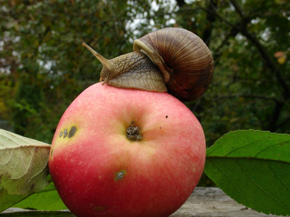 Zig Travel (@travelzig) on Twitter photo 