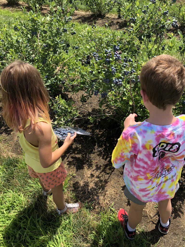 MsMcLean2's tweet photo. Ss: “When I get home I’m going to ask if I can eat blueberries for a snack, EVERYDAY!” #campstclair #sccdsb https://t.co/Wad81MyiAM