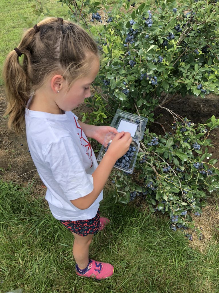 MsMcLean2's tweet photo. Ss: “When I get home I’m going to ask if I can eat blueberries for a snack, EVERYDAY!” #campstclair #sccdsb https://t.co/Wad81MyiAM