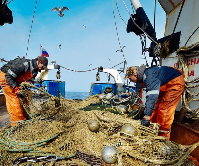 Уловы водных биологических ресурсов. Траловый лов рыбы охотское море. Охотское море рыболовство. Рыбный промысел в атлантическом океане. Добыча биологических ресурсов.