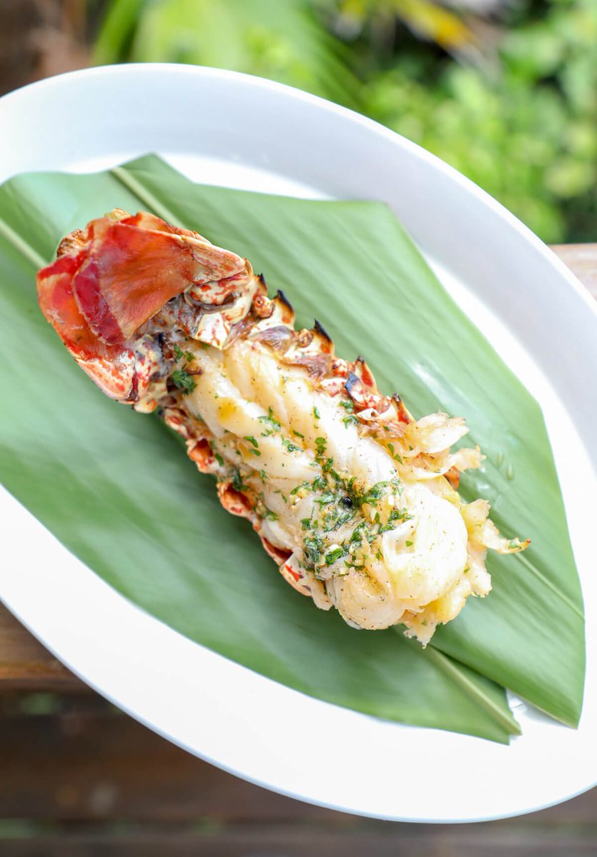 scwellcouncil's tweet image. You don't mind if I stare at this picture awhile, do you? #Keto Grilled Lobster Tails with Creole Butter ow.ly/5DLH30kZwr2