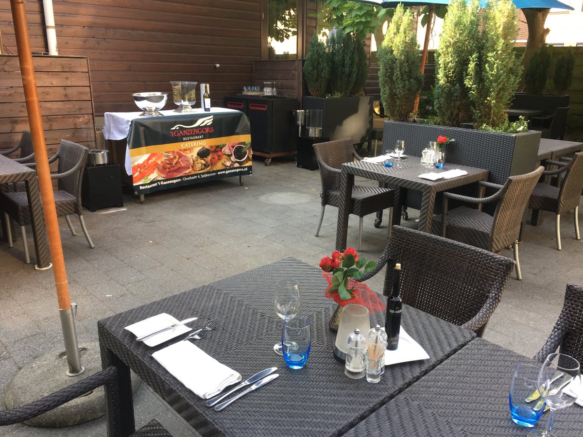 Terras #ganzengors