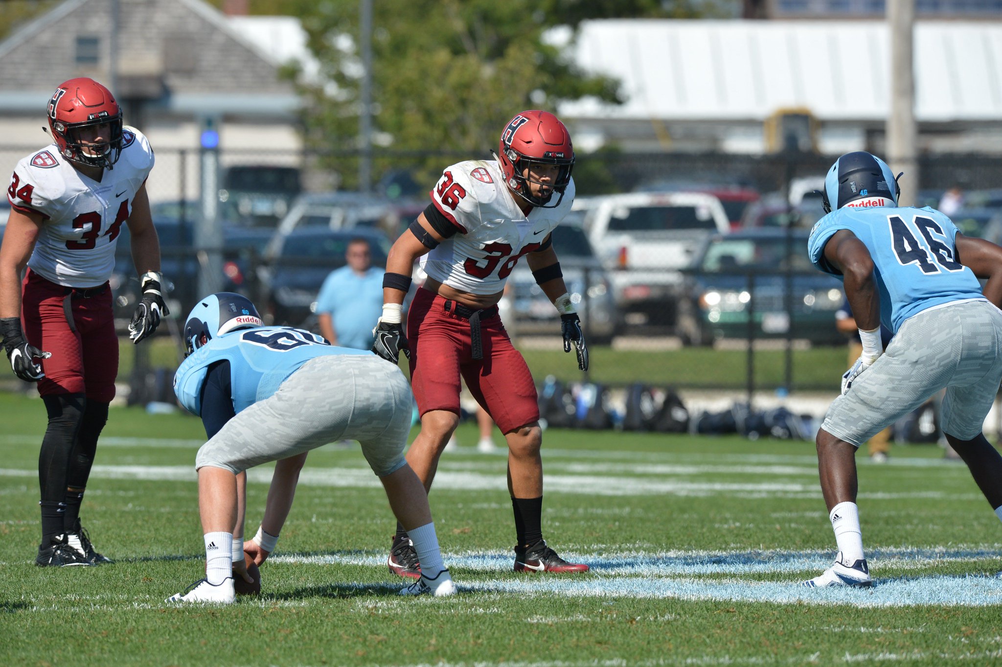 Harvard Athletics on Twitter ""Success doesn’t come easy, and the only