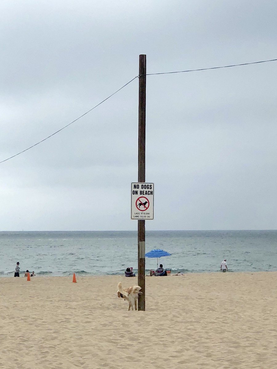 “Now the law came in to increase the trespass”