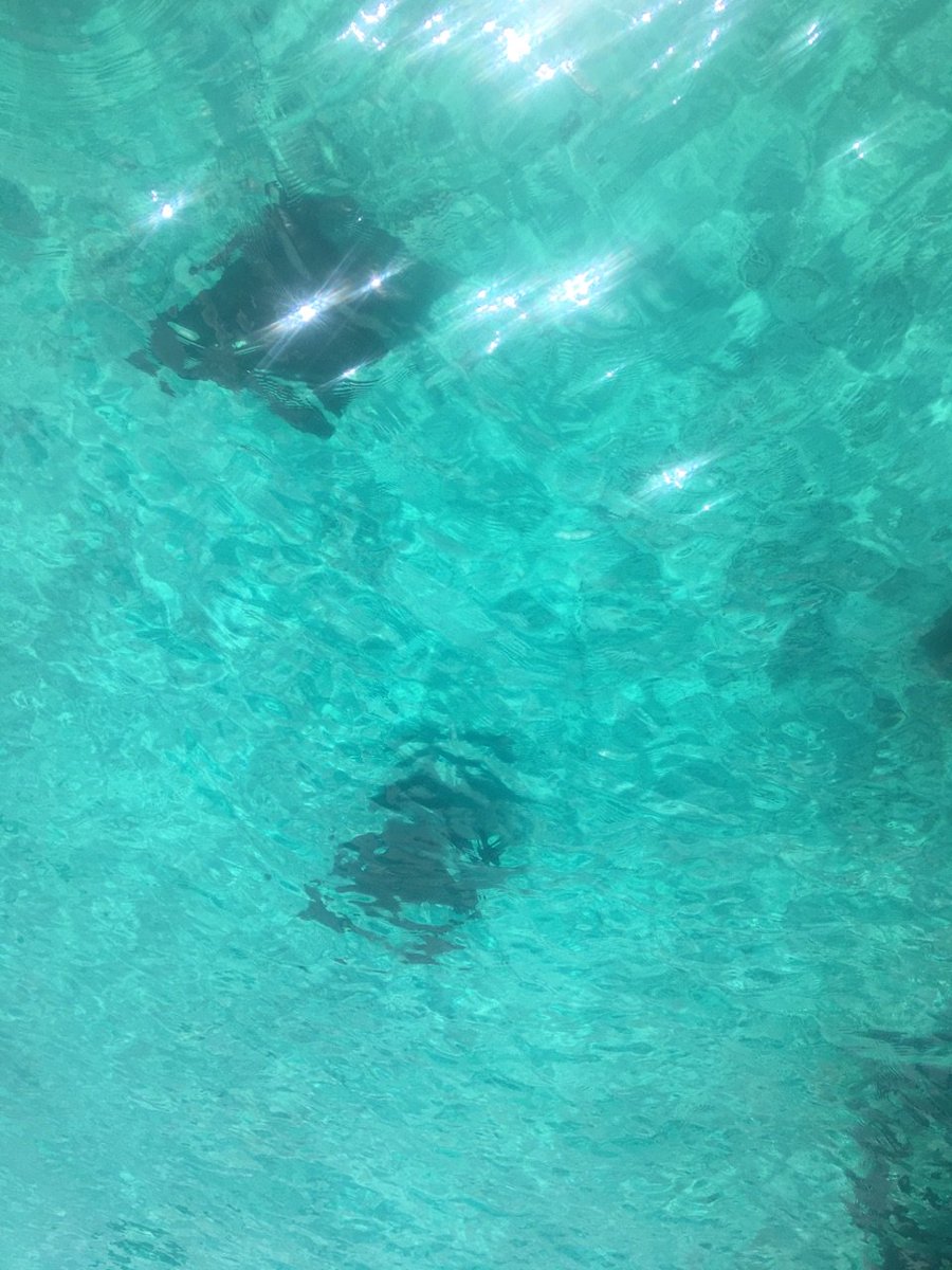 SheddLearning's tweet photo. Starting it off right #SheddHSMB week 2 sees pilot whales in the Gulf Stream and spotted eagle rays in Bimini Harbor https://t.co/x7ugb2VX8O