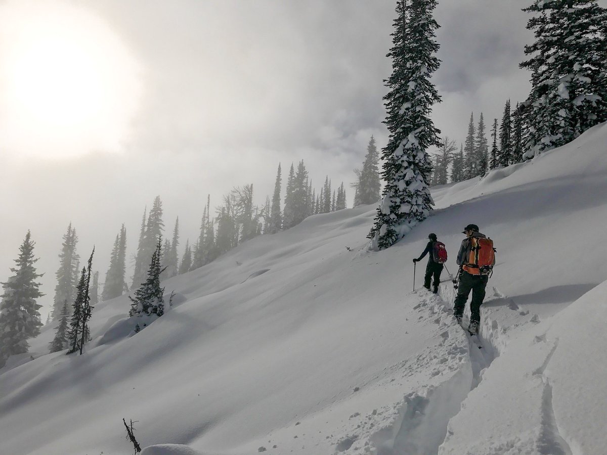 salomon freeski