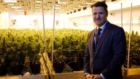 Shares of pot company Tilray surge in first day of trading on Nasdaq cbc.ca/news/business/…