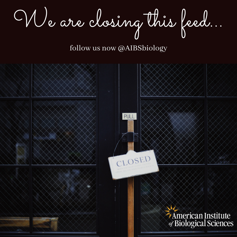 AIBS_SPARS tweet media