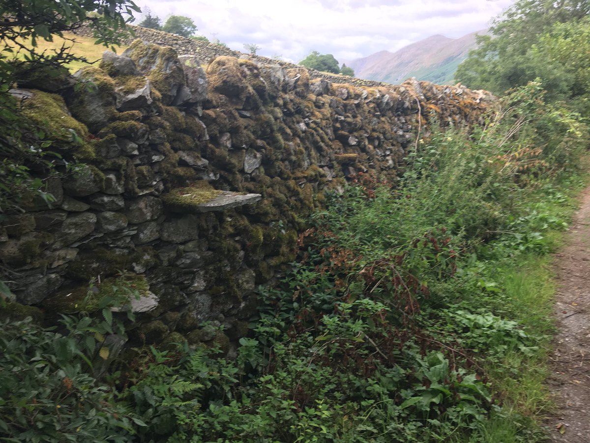 Stiles (@lakesstiles) on Twitter photo Stiles stiles stiles in #Troutbeck <a href="/Mortalmaninn/">Mortal Man Inn</a> <a href="/AshtonBadLad/">Frank Lens</a> <a href="/LansdellMum/">Susan Lansdell</a> <a href="/sueleeok/">Sue Lee</a> <a href="/Soapy_Wit_Tank/">soapy of the swans™</a> <a href="/theirishego/">DW</a> <a href="/lakes_bins/">@lakes_bins</a> <a href="/teresa_knox/">Teresa Knox</a> <a href="/tutty352/">elizabeth tutty</a> <a href="/IcicleLakesHQ/">Icicle Windermere Shop</a> <a href="/IanMillerbrad/">The now departed IanMillerBrad 👋</a> <a href="/Yeti98_/">Randy Coleman</a> @fungifrolics <a href="/AtticusTheFitch/">Atty</a> <a href="/FeatureCumbria/">@featurecumbria</a> @ChestnutPress <a href="/faerymere/">Faeryland Grasmere</a> <a href="/RuralGurn/">Judith Derbyshire 🔶</a> Stiles stiles stiles in #Troutbeck <a href="/Mortalmaninn/">Mortal Man Inn</a> <a href="/AshtonBadLad/">Frank Lens</a> <a href="/LansdellMum/">Susan Lansdell</a> <a href="/sueleeok/">Sue Lee</a> <a href="/Soapy_Wit_Tank/">soapy of the swans™</a> <a href="/theirishego/">DW</a> <a href="/lakes_bins/">@lakes_bins</a> <a href="/teresa_knox/">Teresa Knox</a> <a href="/tutty352/">elizabeth tutty</a> <a href="/IcicleLakesHQ/">Icicle Windermere Shop</a> <a href="/IanMillerbrad/">The now departed IanMillerBrad 👋</a> <a href="/Yeti98_/">Randy Coleman</a> @fungifrolics <a href="/AtticusTheFitch/">Atty</a> <a href="/FeatureCumbria/">@featurecumbria</a> @ChestnutPress <a href="/faerymere/">Faeryland Grasmere</a> <a href="/RuralGurn/">Judith Derbyshire 🔶</a>