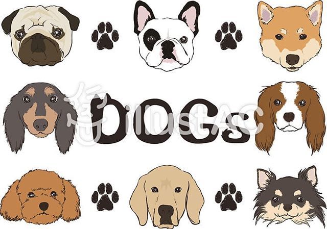 ちよちよ در توییتر イラストacに投稿した Dog スケッチ イラストセットです T Co Jwqga5miaq 犬 Dog イラストac パグ フレンチブルドッグ 柴犬 ミニチュアダックスフンド キャバリア トイプードル レトリバー チワワ T Co Mt6yqvsqo0