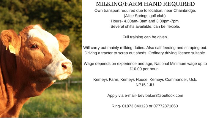 A Milking/Farm Hand is being sought by Kemeys Farm near #Usk no experience required, see pic for further details. #MonmouthshireJobs