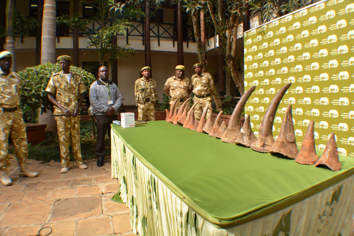 Kenya Wildlife Service tweet media