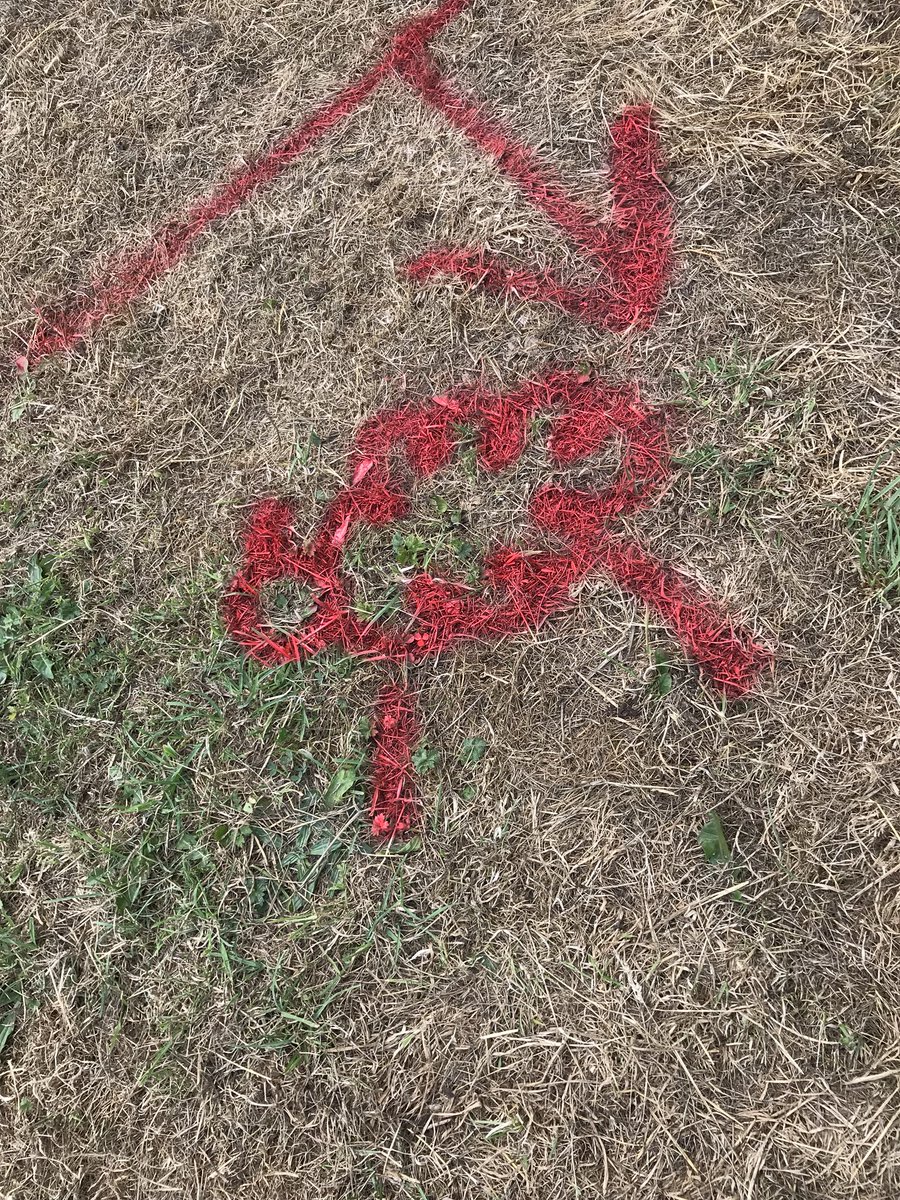 spicyyorks's tweet photo. The guys are getting more and more creative with their marking kut today! @BingleyShow #bingleyshow2018 https://t.co/MFJUz4WqFr