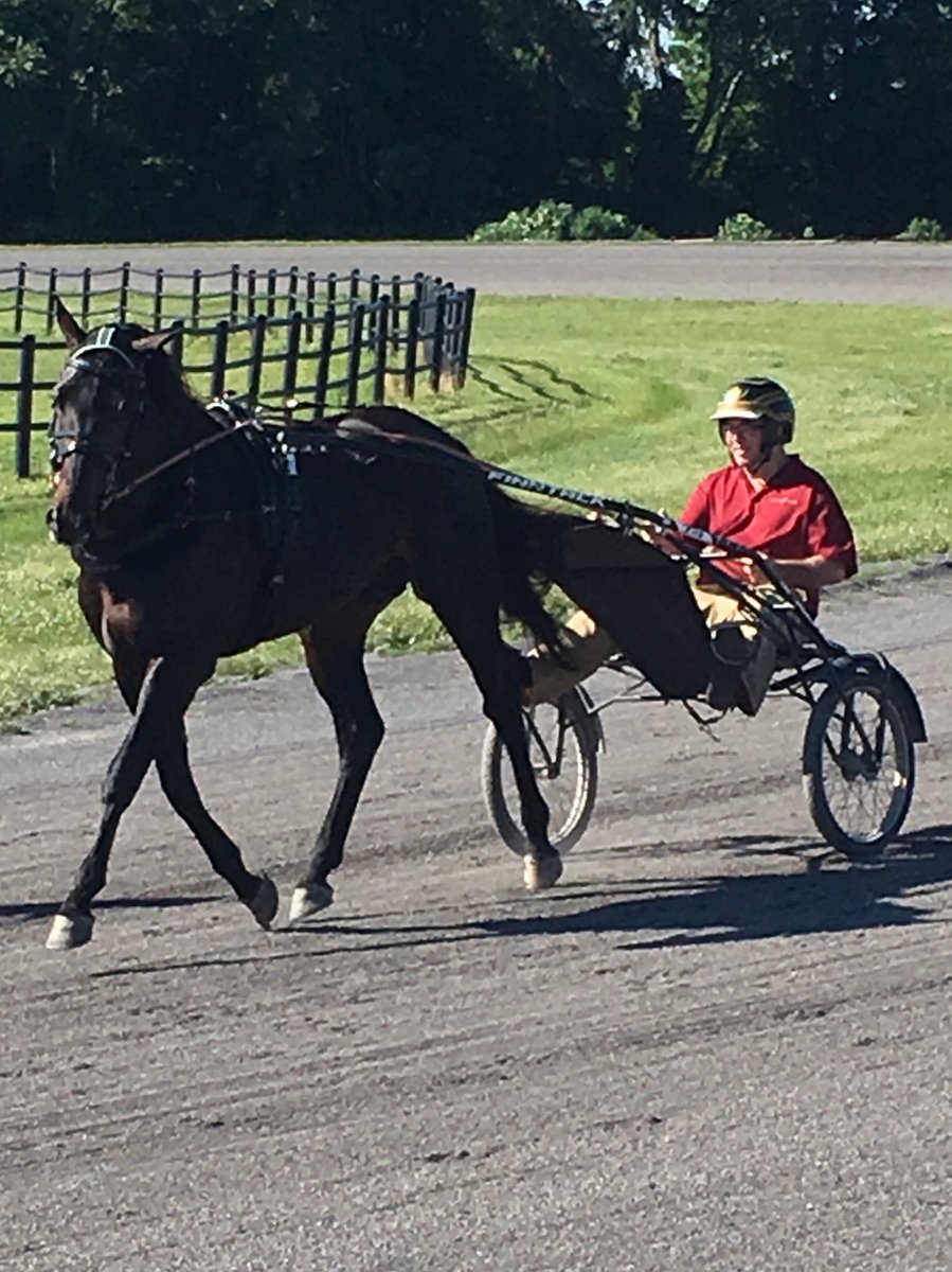 Duncan Taylor jogging Lazarus watch up Billings amateur drivers