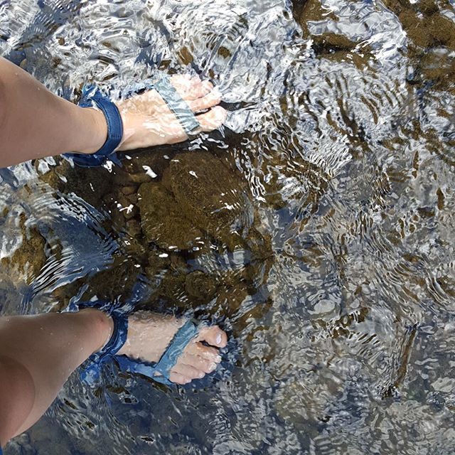 Can you believe we're about halfway through the summer already? We hope you're taking some time to put your feet in the river whenever possible.⠀
⠀
Photo by Cindy Taylor⠀

#nature #landtrust #dhconservancy #delawareriver #landconservation #c… ift.tt/2Ll0Kzw