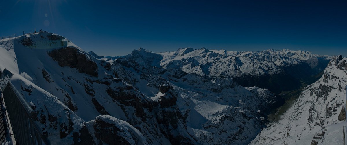 TeamOngosa's tweet image. Whether you're a cold winter mammal or a sun seeking #kangaroo, our explore blog has your light reads covered! 📖 ow.ly/aWtY30kZajX #exploreblog