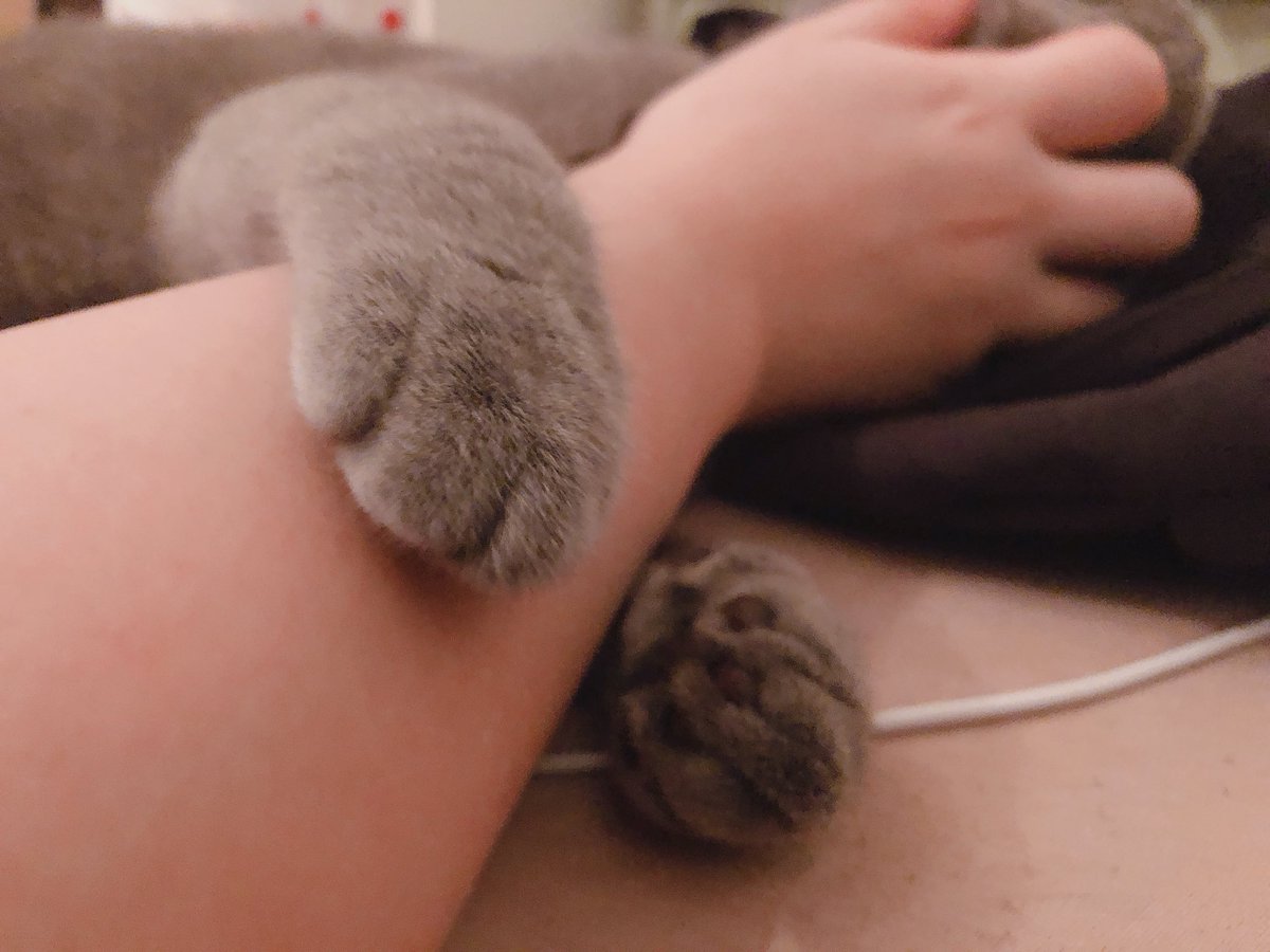 貴方がいるから今日もお仕事がんばれるのです！