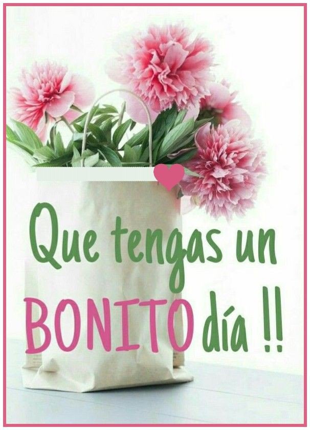 Intensa_Luna's tweet photo. @gines_gladys Gracias hermosa que tu día lleno de bendiciones 🌺🌻🌾🍀 https://t.co/uWDqoU490A