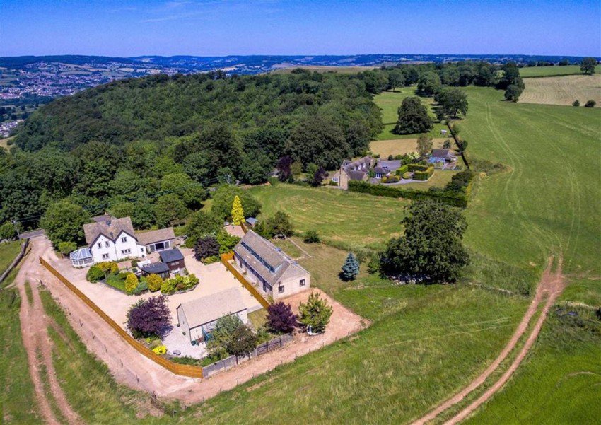 Naylor Powell tweet media