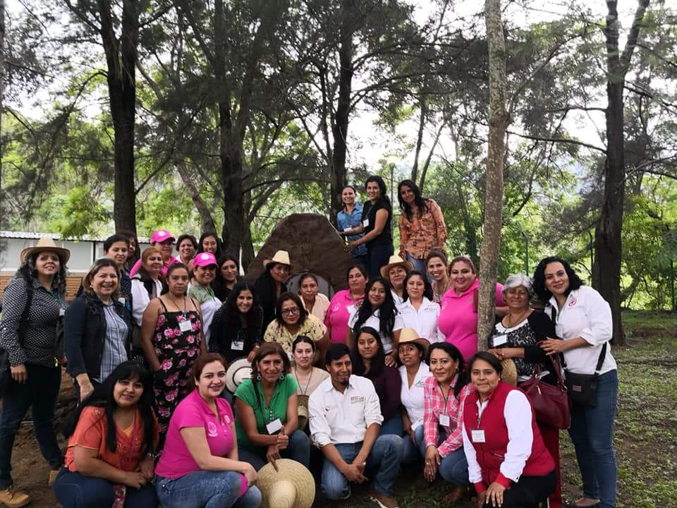 BeyssyKarem's tweet photo. Aprendiendo #EstufaPatsari y #HornoAhorrador en #CEFOFOR @CONAFOR para replicarlo en mis grupos de #ExtensionismoHidalgo @ExtensionismoMx @SAGARPA_mx https://t.co/NL1XDsSOWs