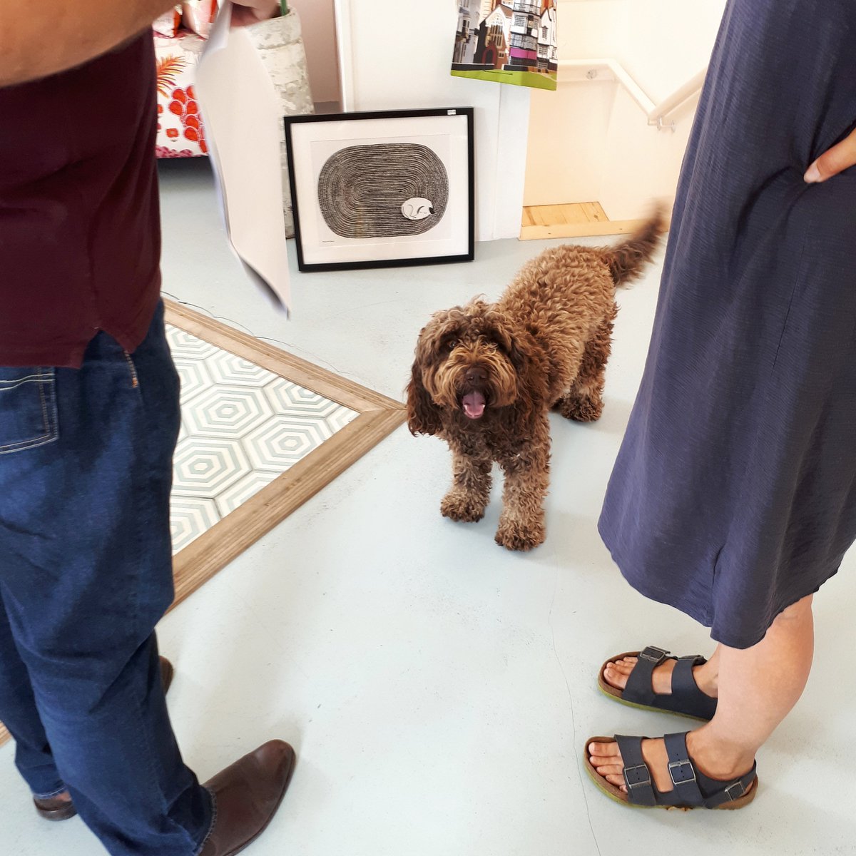 .<a href="/HydeSeek1/">Hyde and Seek</a> pooch, Bobby, helping us direct today's photoshoot 🐶 #dogsoftwitter #exeter