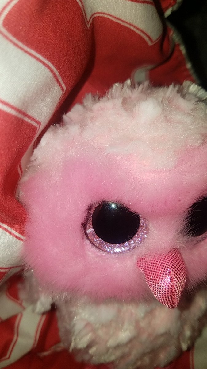 4mlprojects's tweet image. Goodmorning Laters !! Twiggy says hello!! @4mlmusic