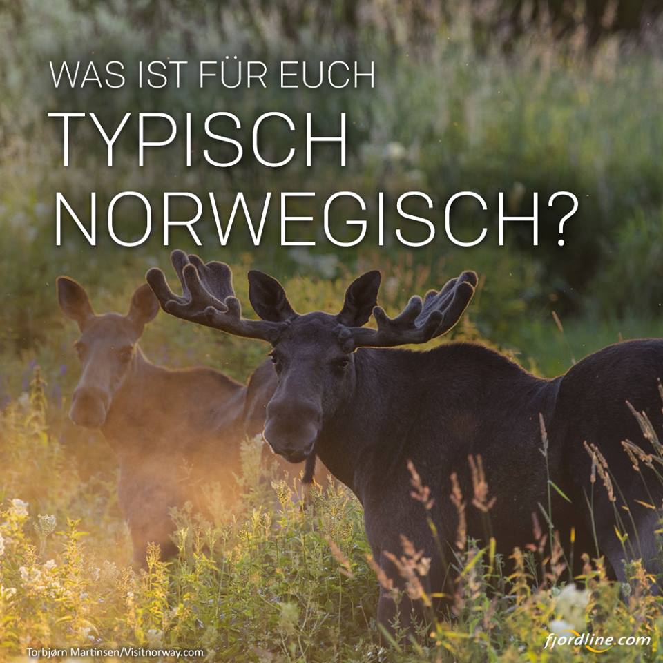 Typisch norwegisch? 🇳🇴Lasst uns wissen, was für Euch charakteristisch für Norwegen ist! 😇