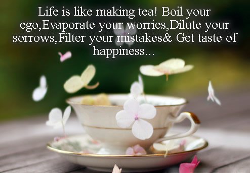 TajStrainers1's tweet photo. Life is a beautiful cup of TEA.Take one sip at a time and enjoy. @Tajstrainer1 #tea #TajMahal @darjeelingtea #brookbond #tatatea #todaytea @incredibleindia #Tajfruitbowl #Tajvegetablebown #sieves #FelizJueves
#ThursdayThoughts
#خاطرك_يطيب_لما
#19Jul
#اذكرو_ربكم_كثيرا
#juiuitce https://t.co/WfNmBms3Le