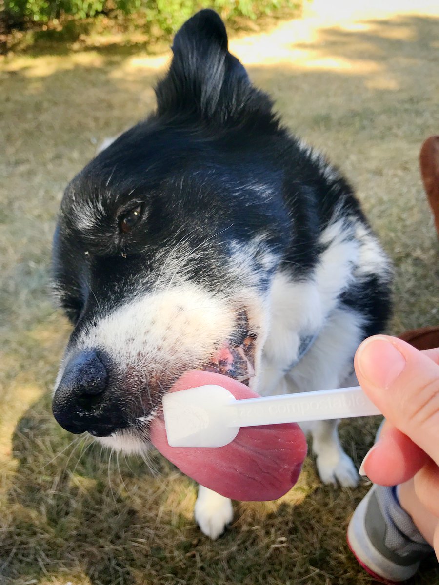 sparky_hh's tweet photo. Eis: Das heißeste Zeug des Jahres. #Sommer https://t.co/SZnLSHWSCi