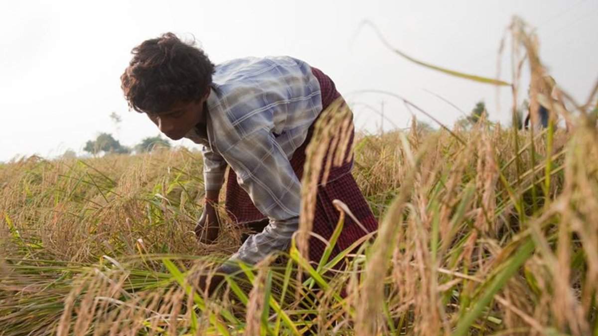 Gates Foundation India tweet media