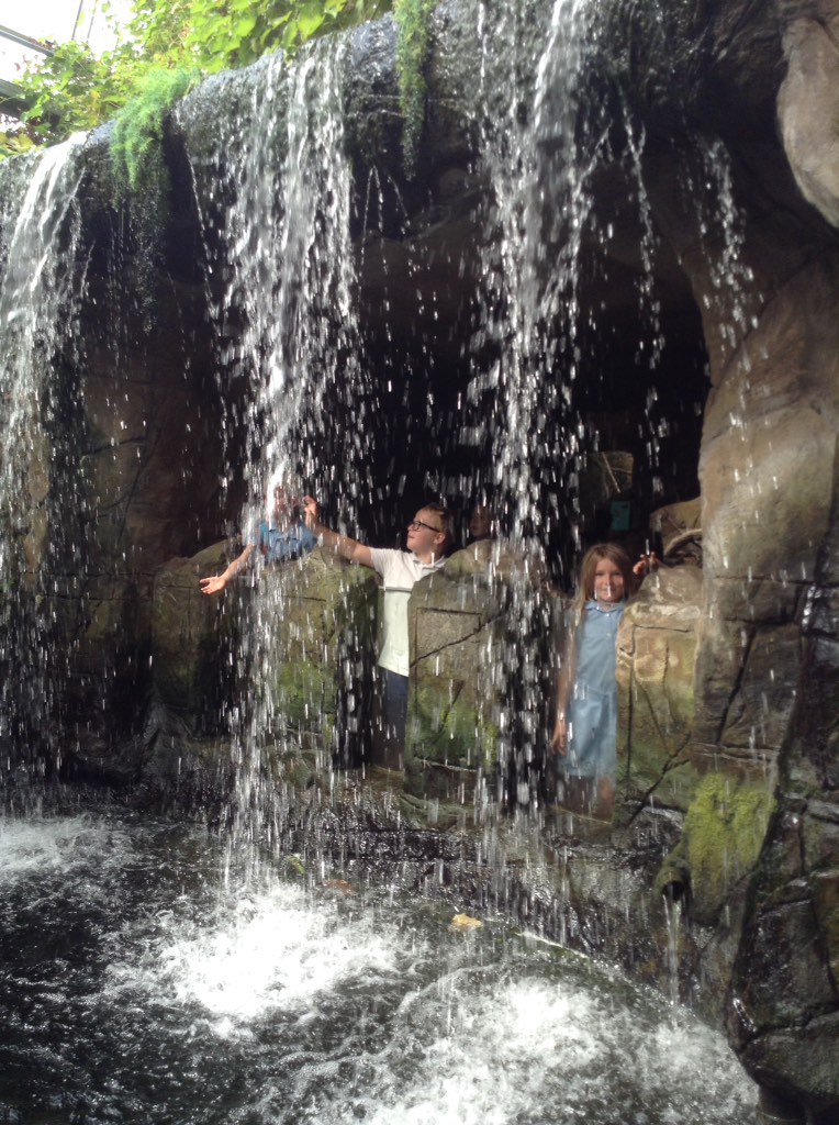 therookeries's tweet image. Rookeries , year 3 tropical trip #learningatitsbest