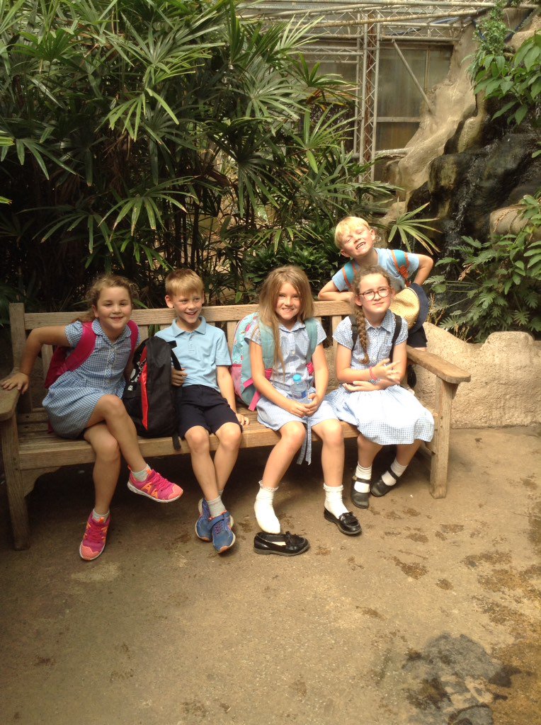 therookeries's tweet image. Rookeries , year 3 tropical trip #learningatitsbest