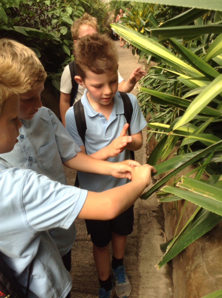 therookeries's tweet image. Rookeries , year 3 tropical trip #learningatitsbest