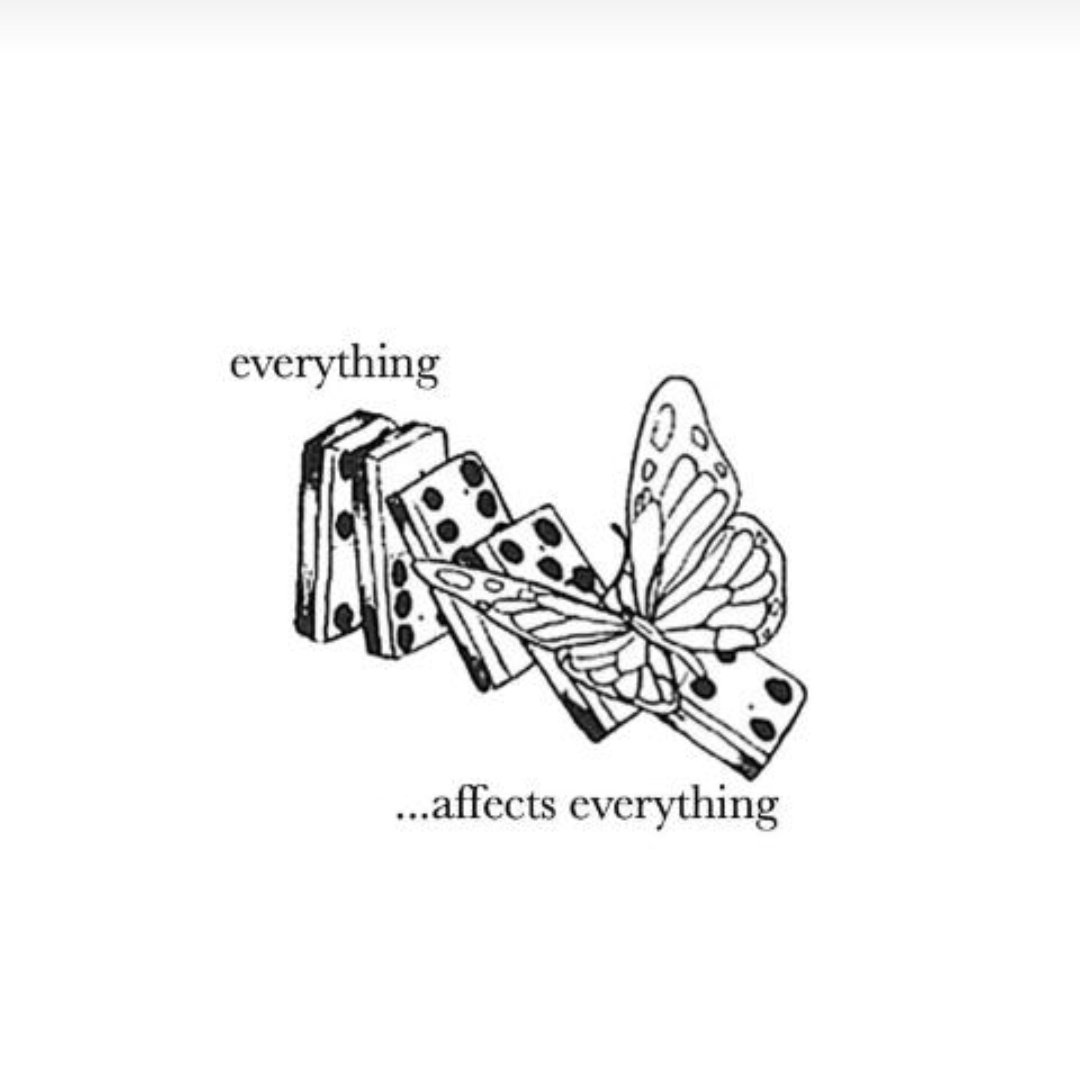 You've heard of the butterfly effect.Right? That if butterfly flap its wing at just the right time in just the right place it can cause a hurricane thousands of miles away. #butterflyeffect #butterfly🦋 #everythingaffectseverything.