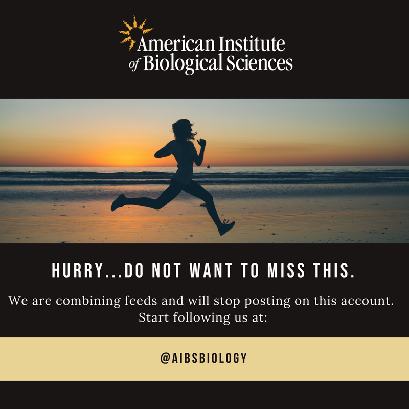 BioScienceAIBS's tweet image. We are combining feeds and are moving to the main #AIBS Twitter account. Follow us now at @AIBSbiology   #bioscience #biology #excitingnews #joinus #sciencejournal #combiningaccounts #opensource #journal