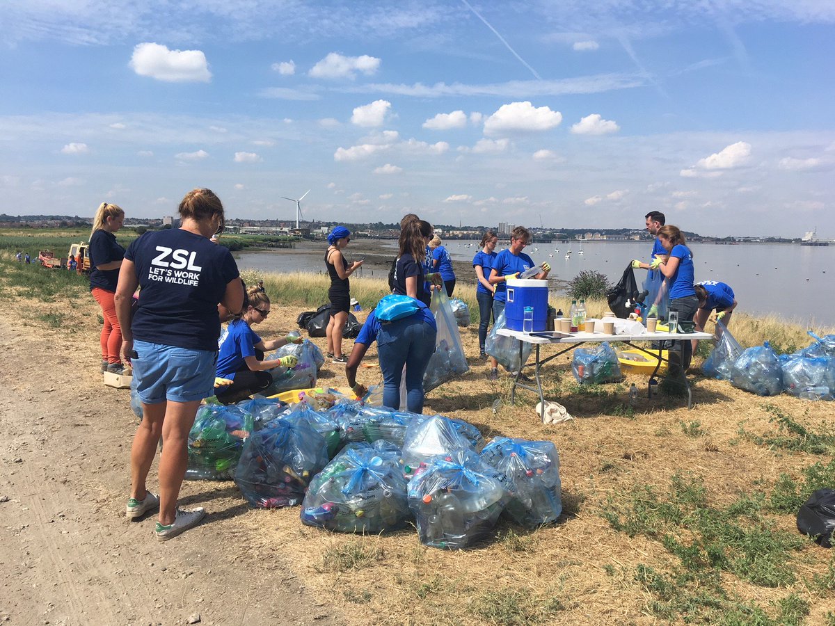 Thames Litter Forum (thameslitter) Twitter