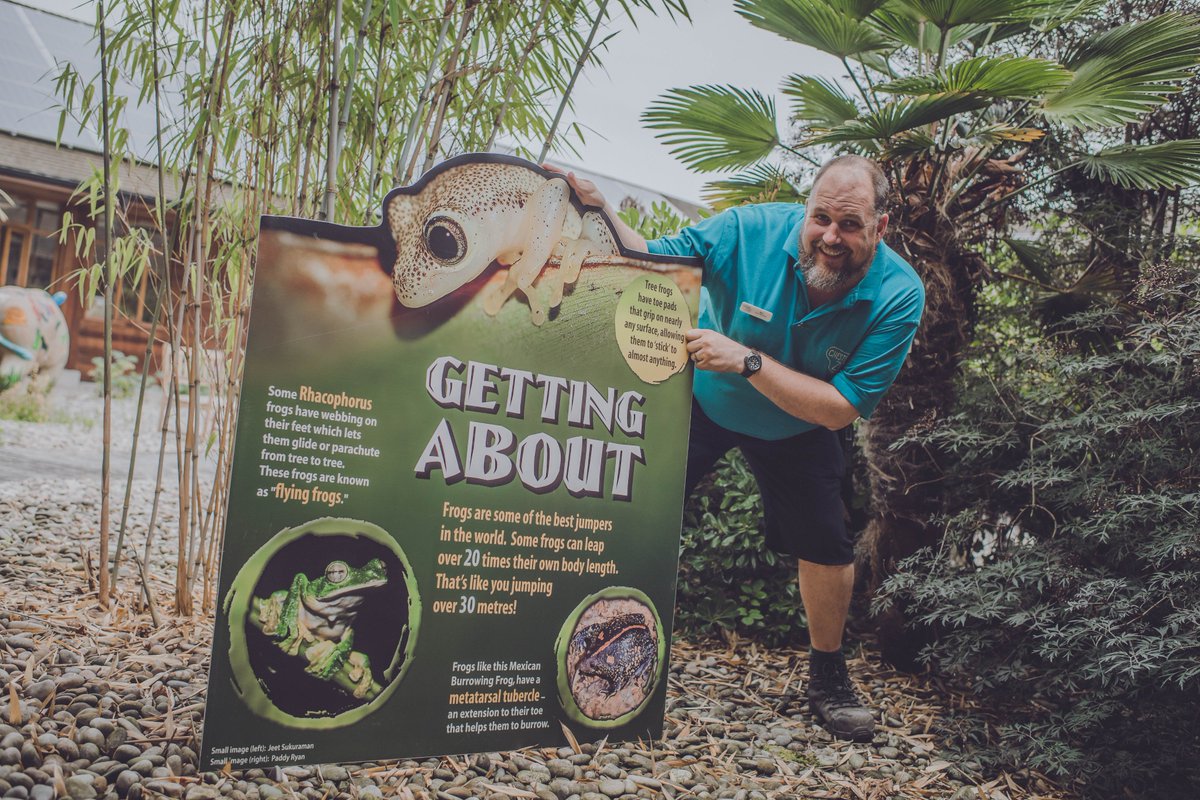chesterzoo's tweet image. Own a little piece of Chester Zoo history! 

Hundreds of iconic items will be up for grabs on @eBay from 7pm on Sunday night. 

More here 👉 chesterzoo.org/auction  

#memorabilia #ThisSignIsMine