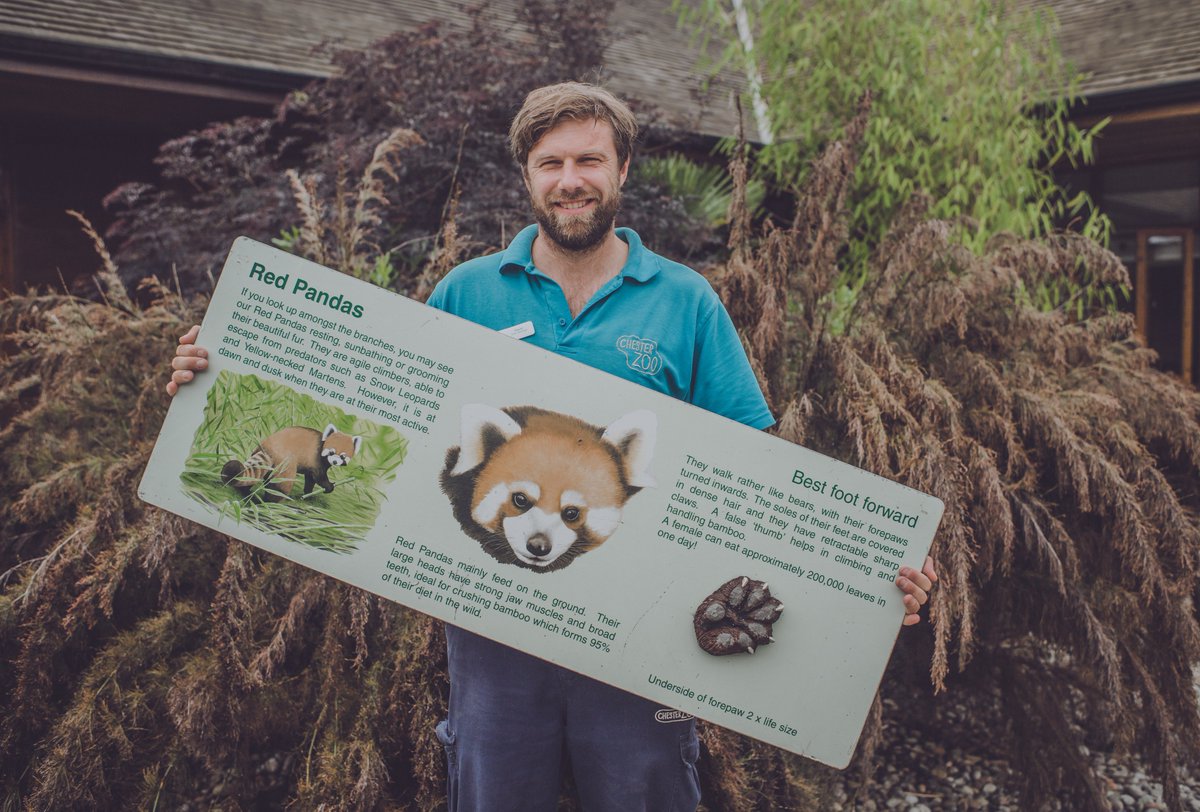 chesterzoo's tweet image. Own a little piece of Chester Zoo history! 

Hundreds of iconic items will be up for grabs on @eBay from 7pm on Sunday night. 

More here 👉 chesterzoo.org/auction  

#memorabilia #ThisSignIsMine