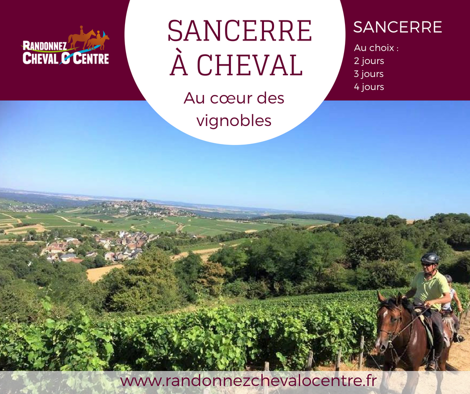 Chevalocentre's tweet photo. Nouveauté !
🌍#Destination #Sancerre à #cheval, au coeur des #vignobles
#Randonnée au coeur du #Berry, à la découverte du #PaysFort #Sancerrois.
⏳#séjours : 2 à 4 jours
#cavaliers : A l'aise aux trois allures.
Infos & résa ➡https://t.co/t0L6q35rLq https://t.co/9GHBqMnKGz